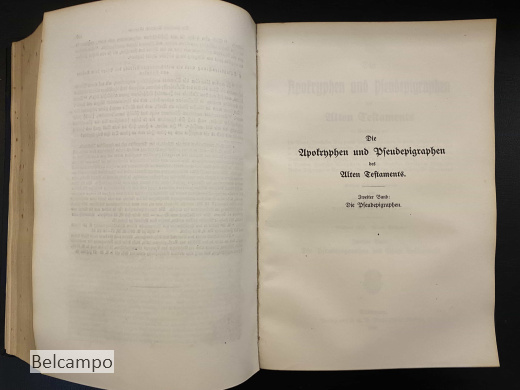 Die Apokryphen und Pseudepigraphen