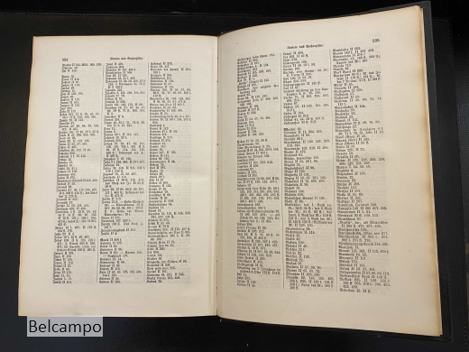 Die Apokryphen und Pseudepigraphen