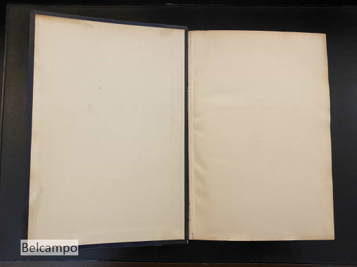 Die Apokryphen und Pseudepigraphen