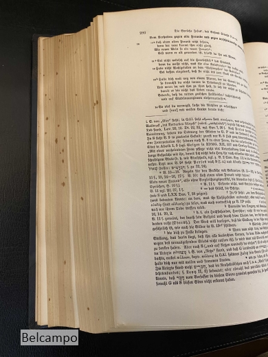 Die Apokryphen und Pseudepigraphen