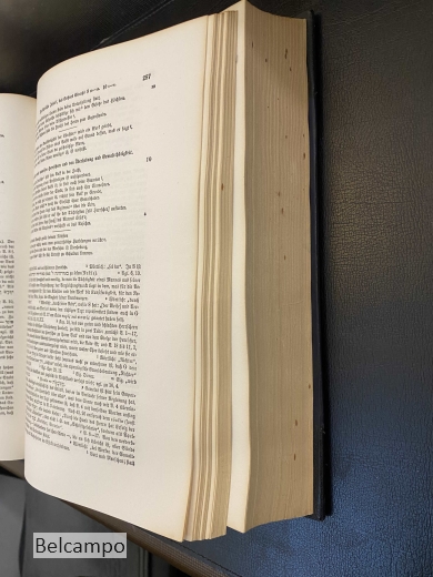 Die Apokryphen und Pseudepigraphen