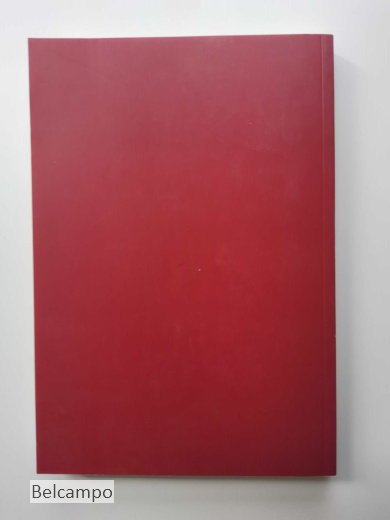 De Limburgse jonkheid