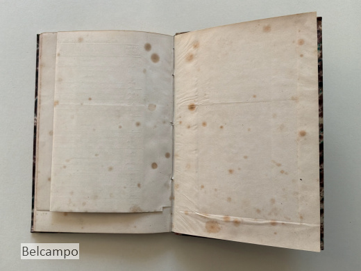 Die Delondre-Bouchardatschen China-Rinden.