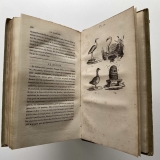 Morceaux choisis de Buffon