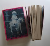 Klar Schilf zum Geflecht. Das ABC von A-Zet. Lyrische Texte 1954-1984