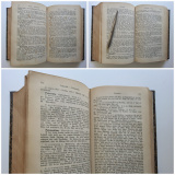 Die schönsten Pflanzen. Des Blumen- und Landschaftsgartens, der Gewächshäuser und Wohnungen.