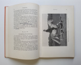 Die Dressur des Reitpferdes für Turnier und Hohe Schule.