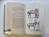 Grundsätze der Dressur und Reitkunst von Gustav Goebel.