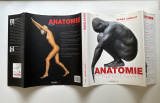 Anatomie voor kunstenaars