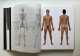 Anatomie voor kunstenaars