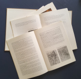 M.L. Wurfbain Fine Art Volume I - V