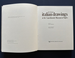 The Famous Italian Drawings at the Capodimonte Museum in Naples.